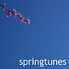 Various Artists - Springtunes