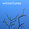 Various Artists - Wintertunes (2010)